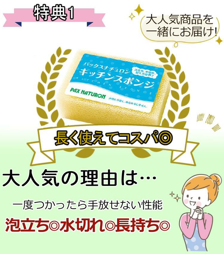 HURIEN ハイブリッド式  HD-N100 2024年モデル ふきん ＆ スポンジ ３点セット ラッピング不可