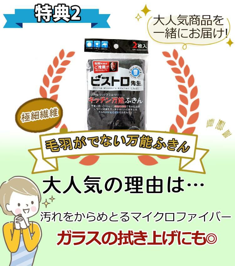 HURIEN ハイブリッド式  HD-N100 2024年モデル ふきん ＆ スポンジ ３点セット ラッピング不可