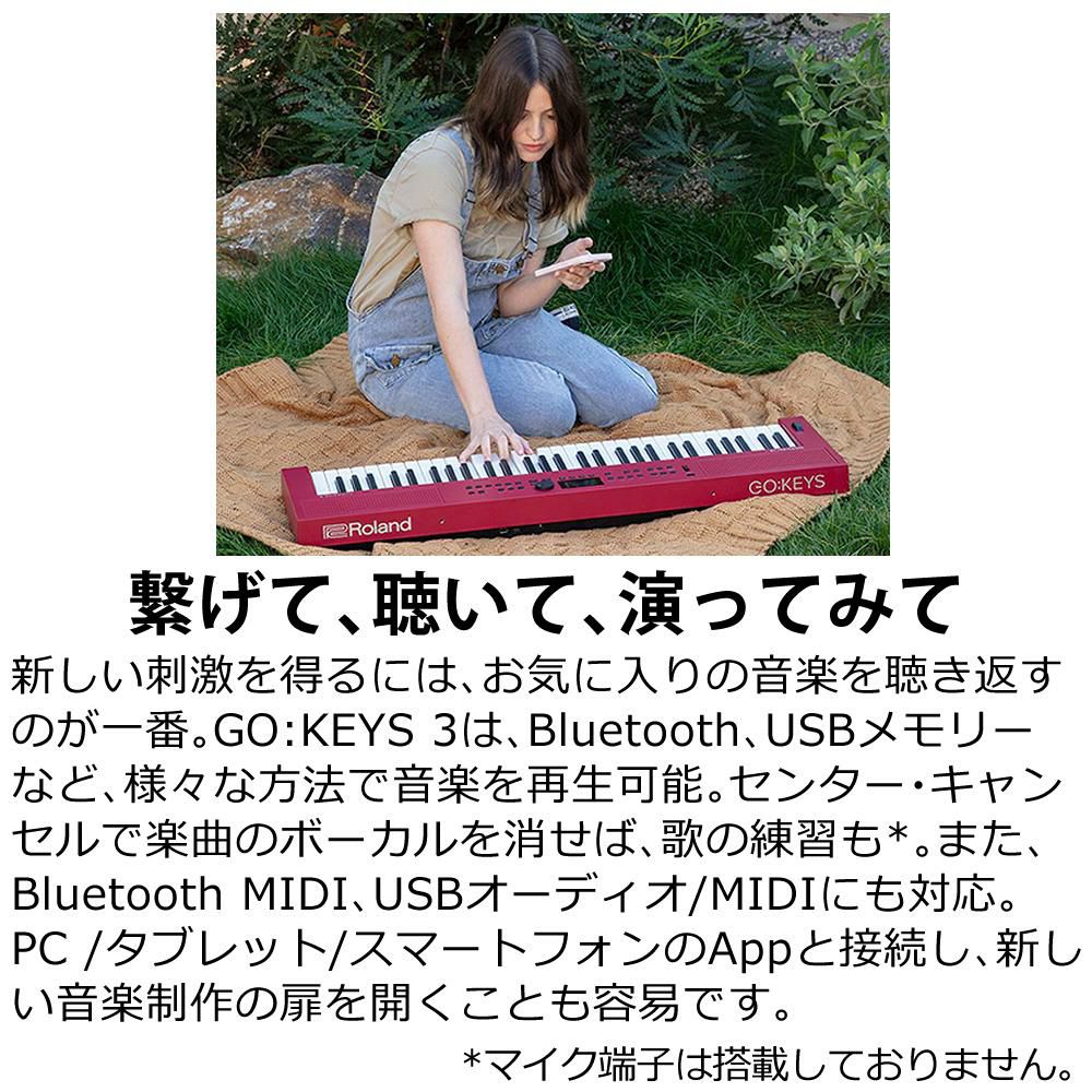 ローランド Roland GO:KEYS 3 GOKEYS3-TQ ターコイズ 選べる特典セット ラッピング不可