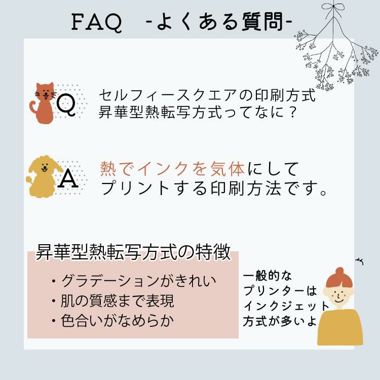キヤノン Canon  コンパクトフォトプリンター ミニフォトプリンタ セルフィー スクエア キヤノン SELPHY SQUARE QX10 WH  ホワイト キャノン Canon