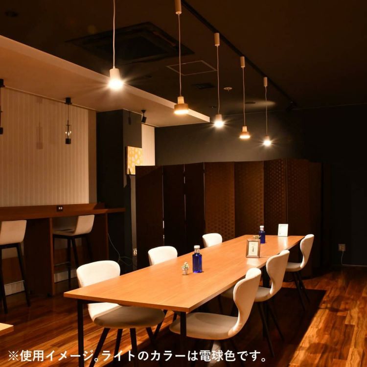 エルパ ライティングバー用ライト LED一体型 ペンダントタイプ 電球色 アイボリー LRS-P01L IV