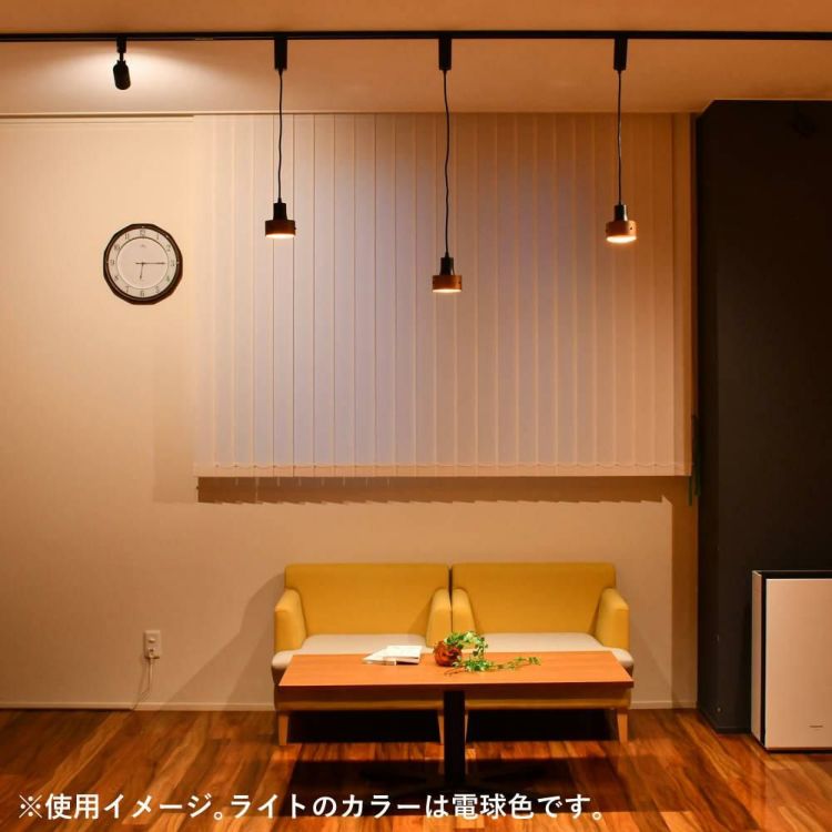 エルパ ライティングバー用ライト LED一体型 ペンダントタイプ 電球色 ブラック LRS-P01L BK