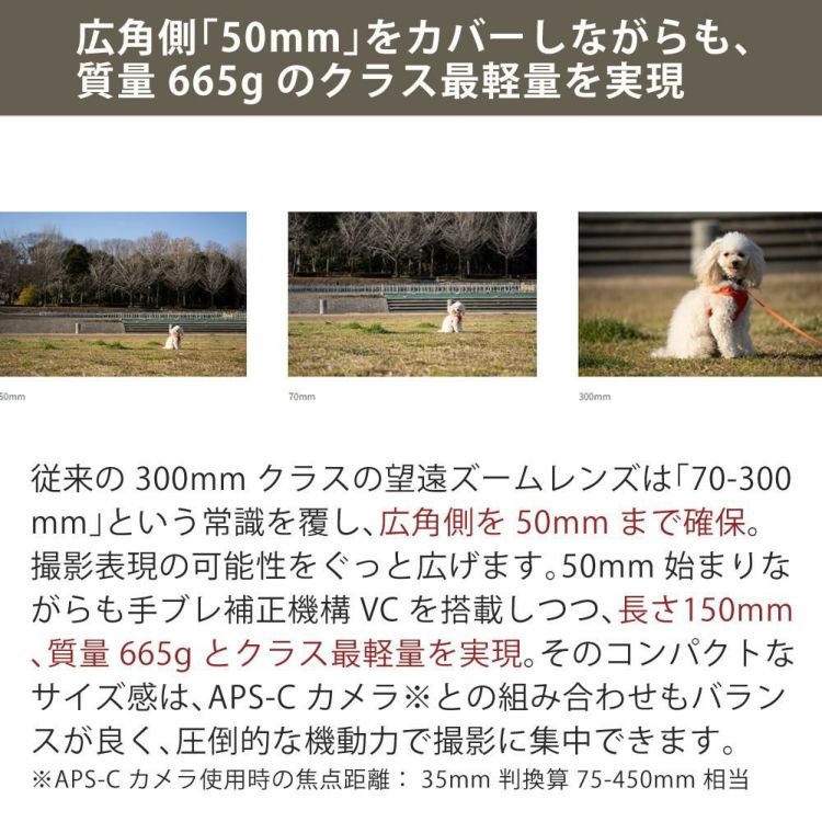 レビューでレンズキャッププレゼント タムロン 50-300mm F4.5-6.3 Di III VC VXD ソニーEマウント A069S