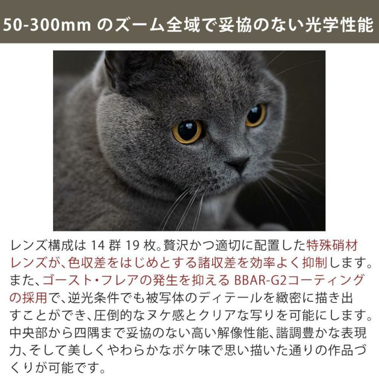 レビューでレンズキャッププレゼント タムロン 50-300mm F4.5-6.3 Di III VC VXD ソニーEマウント A069S