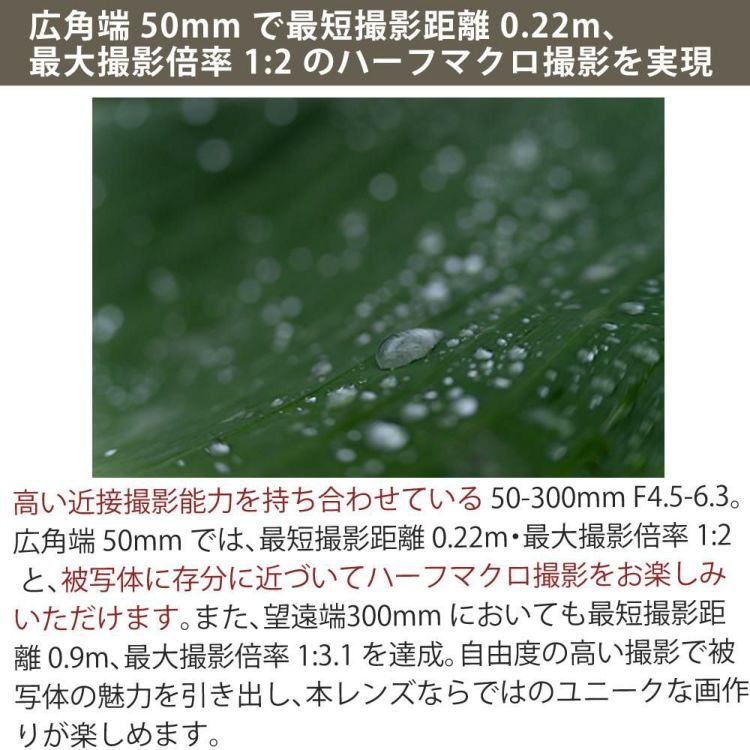 レビューでプレゼント  レンズ保護フィルター付 タムロン 50-300mm F4.5-6.3 Di III VC VXD ソニーE A069S