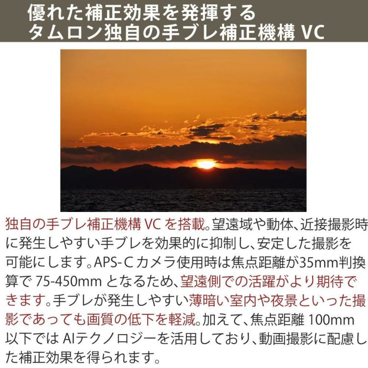 レビューでプレゼント  レンズ保護フィルター付 タムロン 50-300mm F4.5-6.3 Di III VC VXD ソニーE A069S