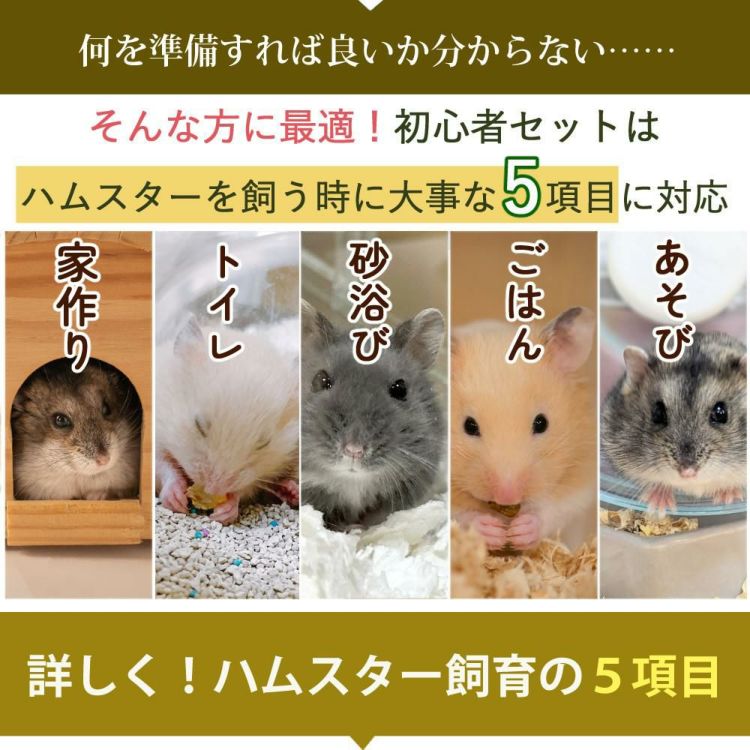 マルカン クリーンケージ 460 ＋ ハムスター 飼育 用品付き 15点セット