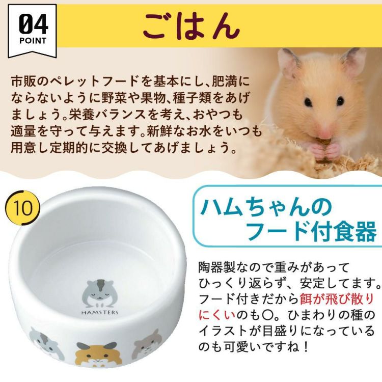 マルカン クリーンケージ 460 ＋ ハムスター 飼育 用品付き 15点セット レビュー特典  ラッピング不可