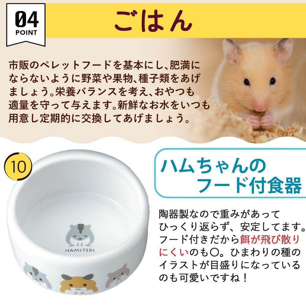 マルカン クリーンケージ 460 ＋ ハムスター 飼育 用品付き 15点セット レビュー特典  ラッピング不可