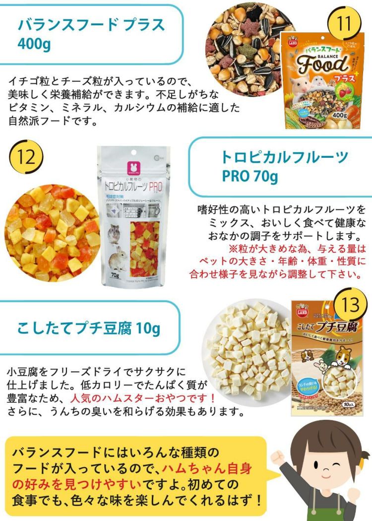 マルカン クリーンケージ 460 ＋ ハムスター 飼育 用品付き 15点セット レビュー特典  ラッピング不可