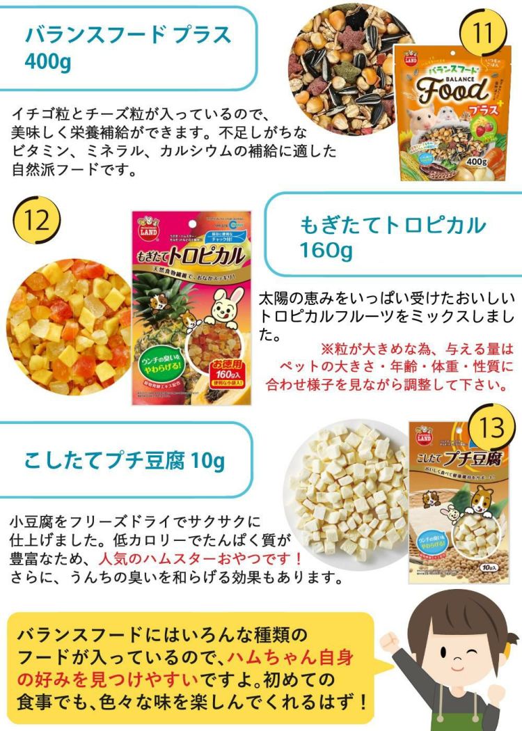 マルカン クリーンケージ 460 ＋ ハムスター 飼育 用品付き 15点セット レビュー特典  ラッピング不可