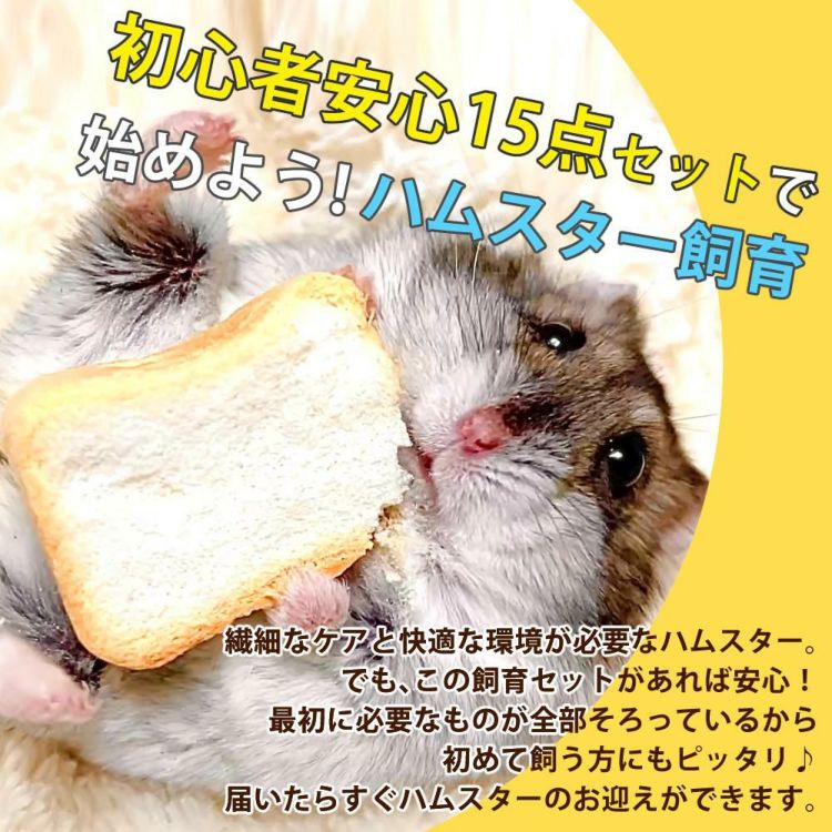 マルカン クリーンケージ 460 ＋ ハムスター 飼育 用品付き 15点セット レビュー特典  ラッピング不可