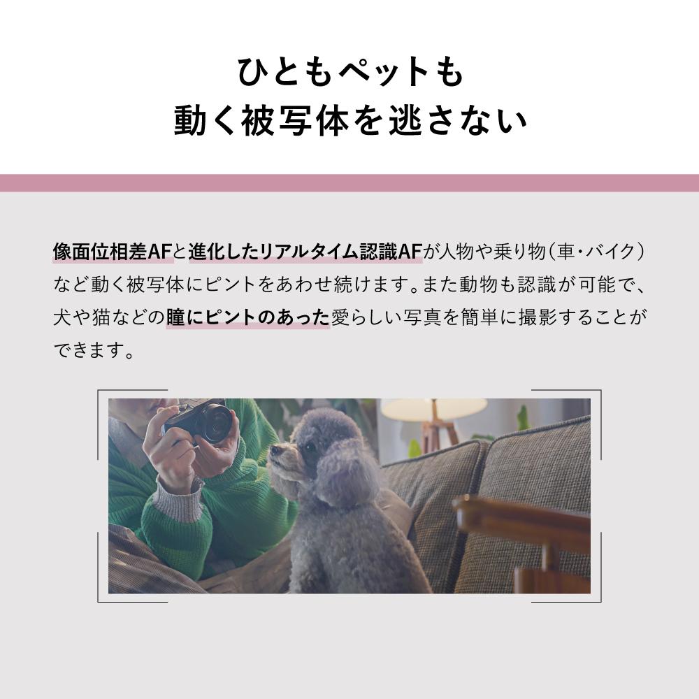 パナソニック ミラーレスカメラ LUMIX S9 ボディ DC-S9