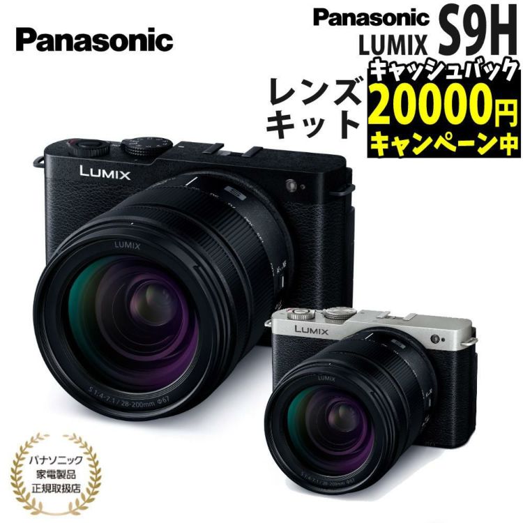 パナソニック ミラーレスカメラ LUMIX S9 28-200キット DC-S9 高倍率ズームレンズキット