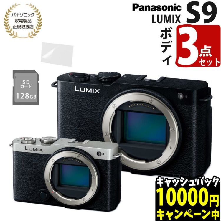 パナソニック ミラーレスカメラ LUMIX S9 ボディ フルサイズ ブラック シルバー DC-S9  SD＆液晶保護フィルムセット