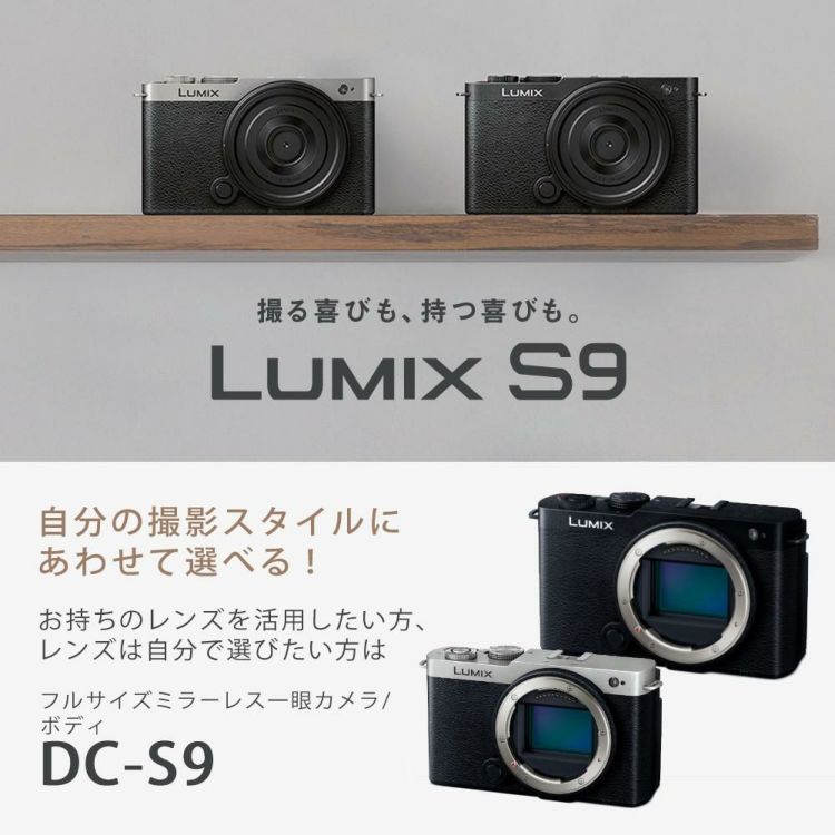 パナソニック ミラーレスカメラ LUMIX S9 ボディ フルサイズ ブラック シルバー DC-S9  SD＆液晶保護フィルムセット