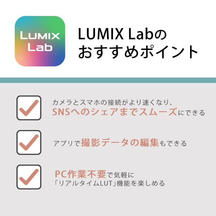 パナソニック ミラーレスカメラ LUMIX S9 ボディ フルサイズ ブラック シルバー DC-S9  SD＆液晶保護フィルムセット