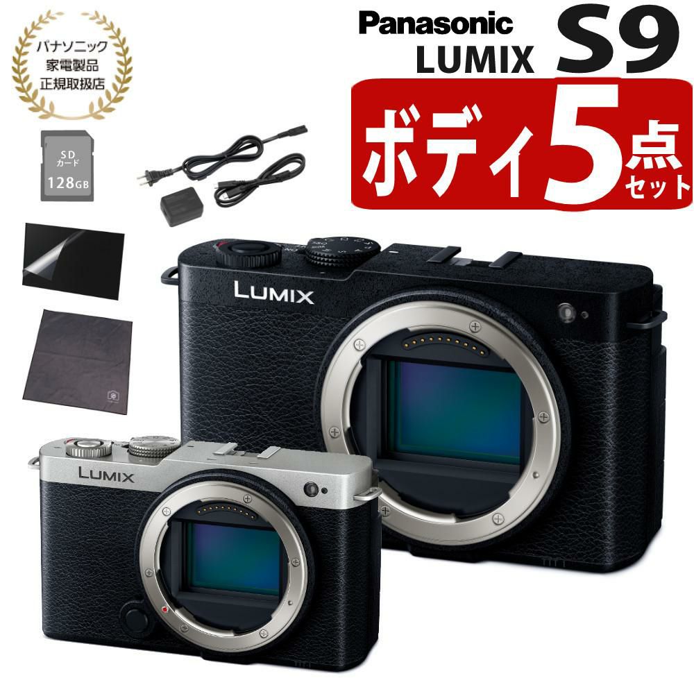 パナソニック ミラーレスカメラ LUMIX S9 ボディ DC-S9 SD＆アダプタ等5点セット