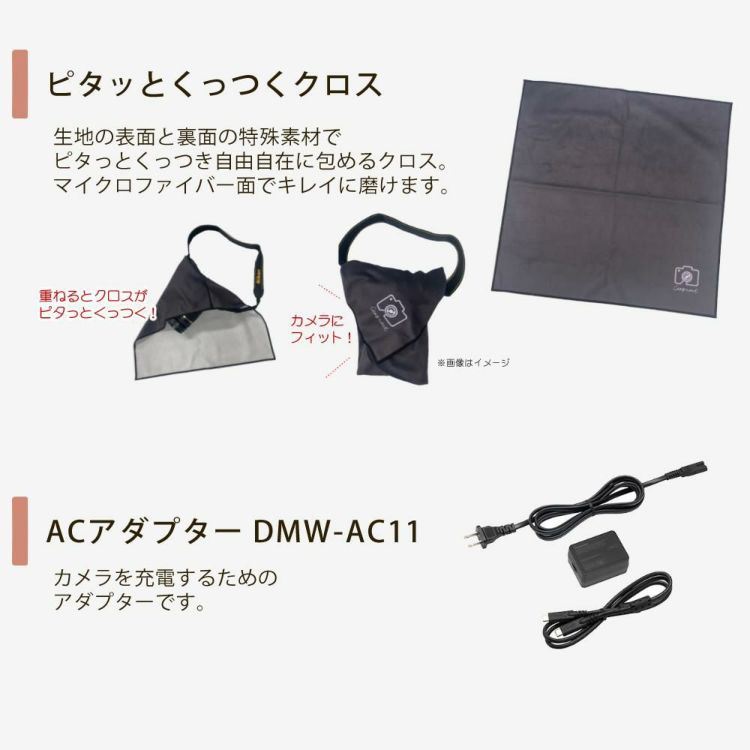 パナソニック ミラーレスカメラ LUMIX S9 ボディ DC-S9 SD＆アダプタ等5点セット