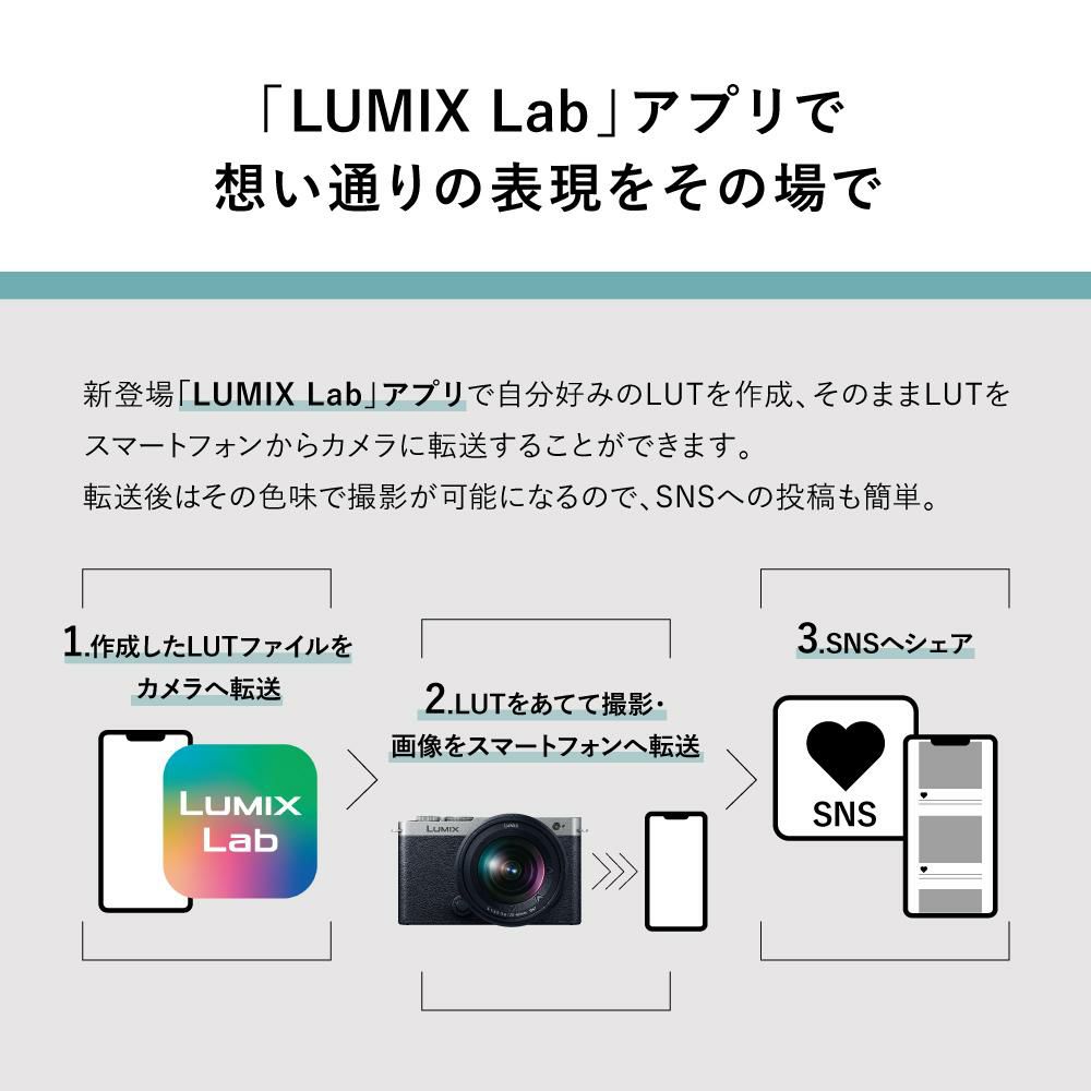 パナソニック ミラーレスカメラ LUMIX S9 ボディ DC-S9 SD＆アダプタ等5点セット