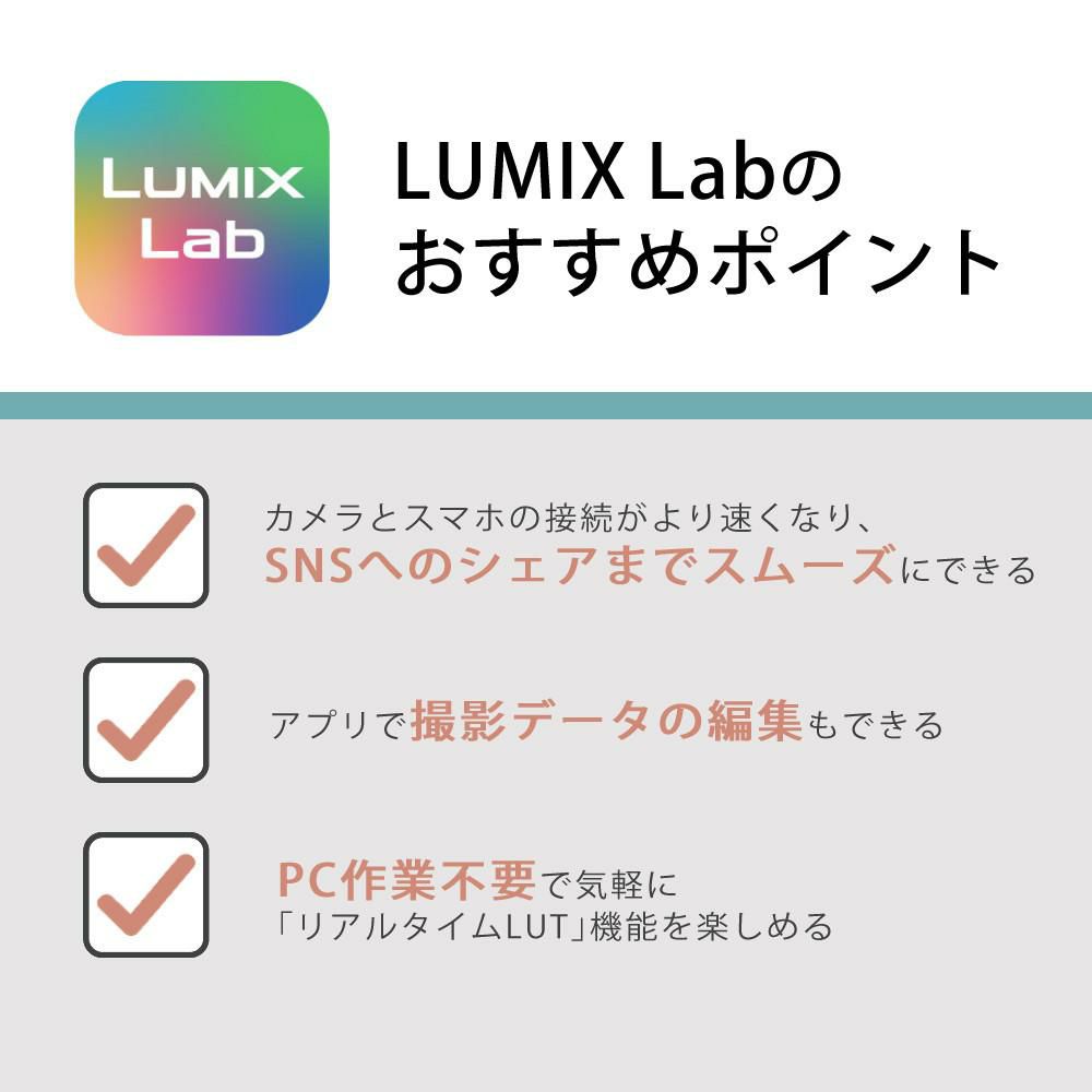 パナソニック ミラーレスカメラ LUMIX S9 ボディ DC-S9 SD＆アダプタ等5点セット