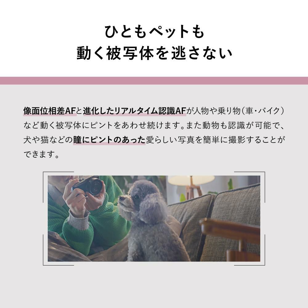 パナソニック ミラーレスカメラ LUMIX S9 ボディ DC-S9 SD＆アダプタ等5点セット