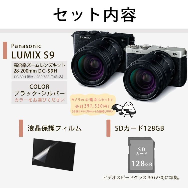 パナソニック ミラーレスカメラ LUMIX S9 28-200キット DC-S9 高倍率ズームレンズキット SD＆液晶保護フィルムセット