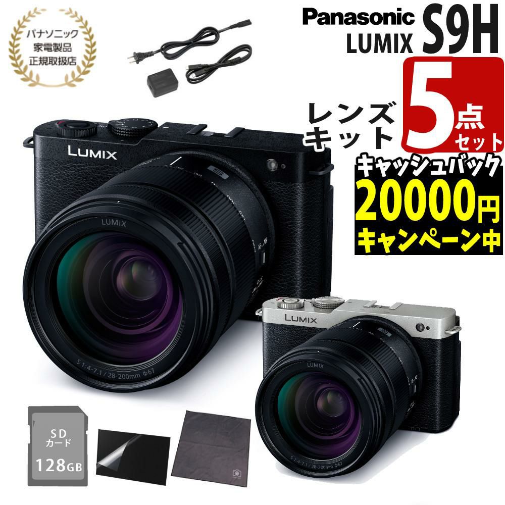 パナソニック ミラーレスカメラ LUMIX S9 28-200キット DC-S9 高倍率ズームレンズキット SD＆アダプタ等5点セット