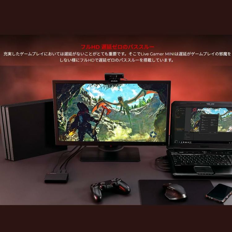 アバーメディア Live Gamer MINI - GC311 ゲームキャプチャー