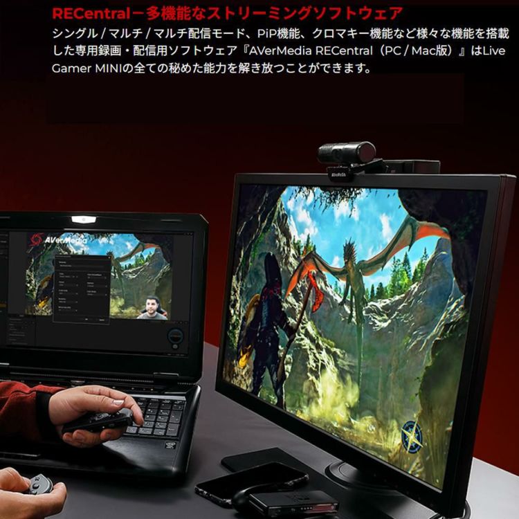 アバーメディア Live Gamer MINI - GC311 ゲームキャプチャー