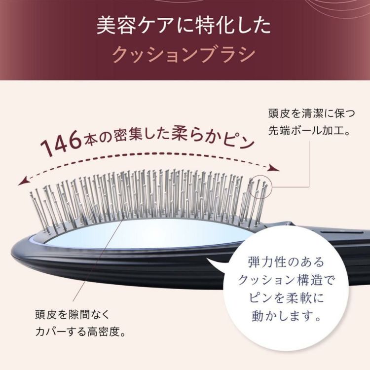 WAVEWAVE 電気ブラシ EMS ブラッシュエアー EMS Brush Air ウェイブウェイブ wh41-01