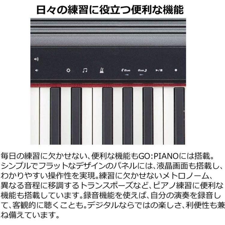 Roland ローランド GO:PIANO Entry Keyboard GO-61P  ラッピング不可