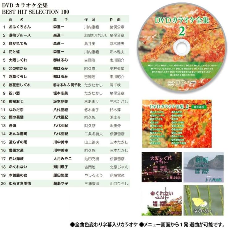 太知ホールディングス DVDカラオケシステム ＆ HDMIケーブル 3ｍ ＆ DVDカラオケ全集100 VOL1付き 3点セット ラッピング不可