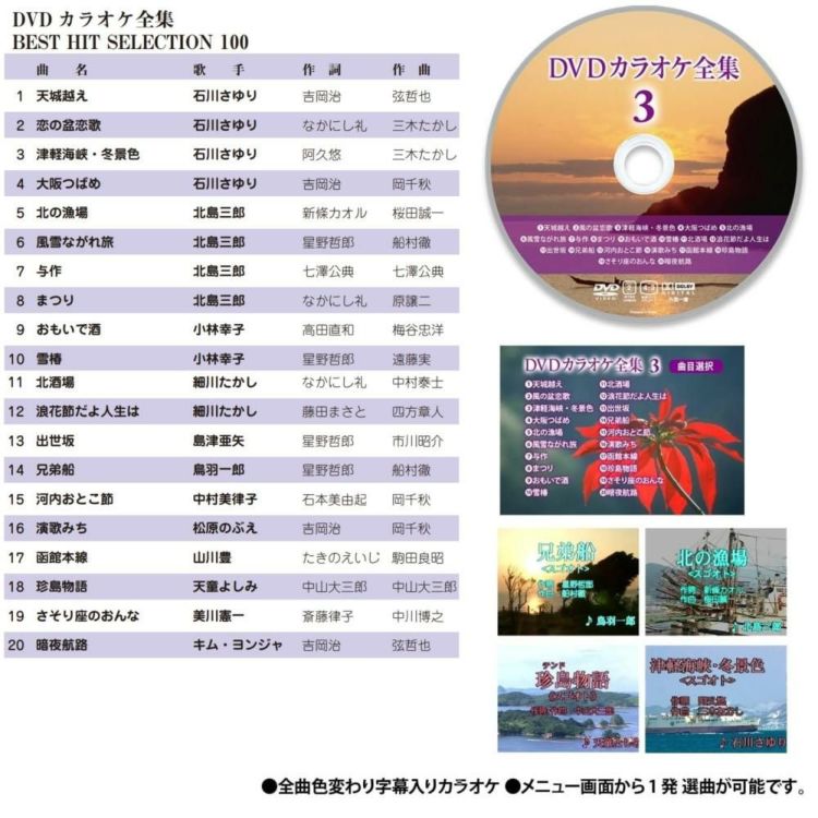 太知ホールディングス DVDカラオケシステム ＆ HDMIケーブル 3ｍ ＆ DVDカラオケ全集100 VOL1付き 3点セット ラッピング不可