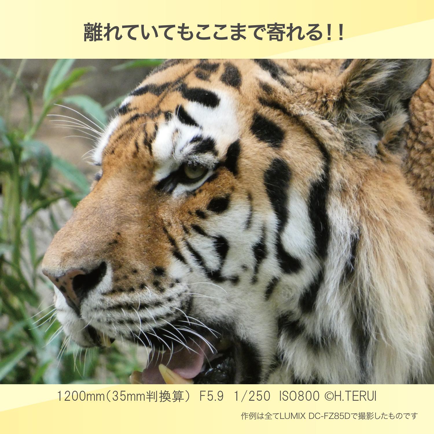 パナソニック デジタルカメラ ルミックス LUMIX FZ85D ブラック DC-FZ85D-K   SD・クロス等5点セット  ラッピング不可