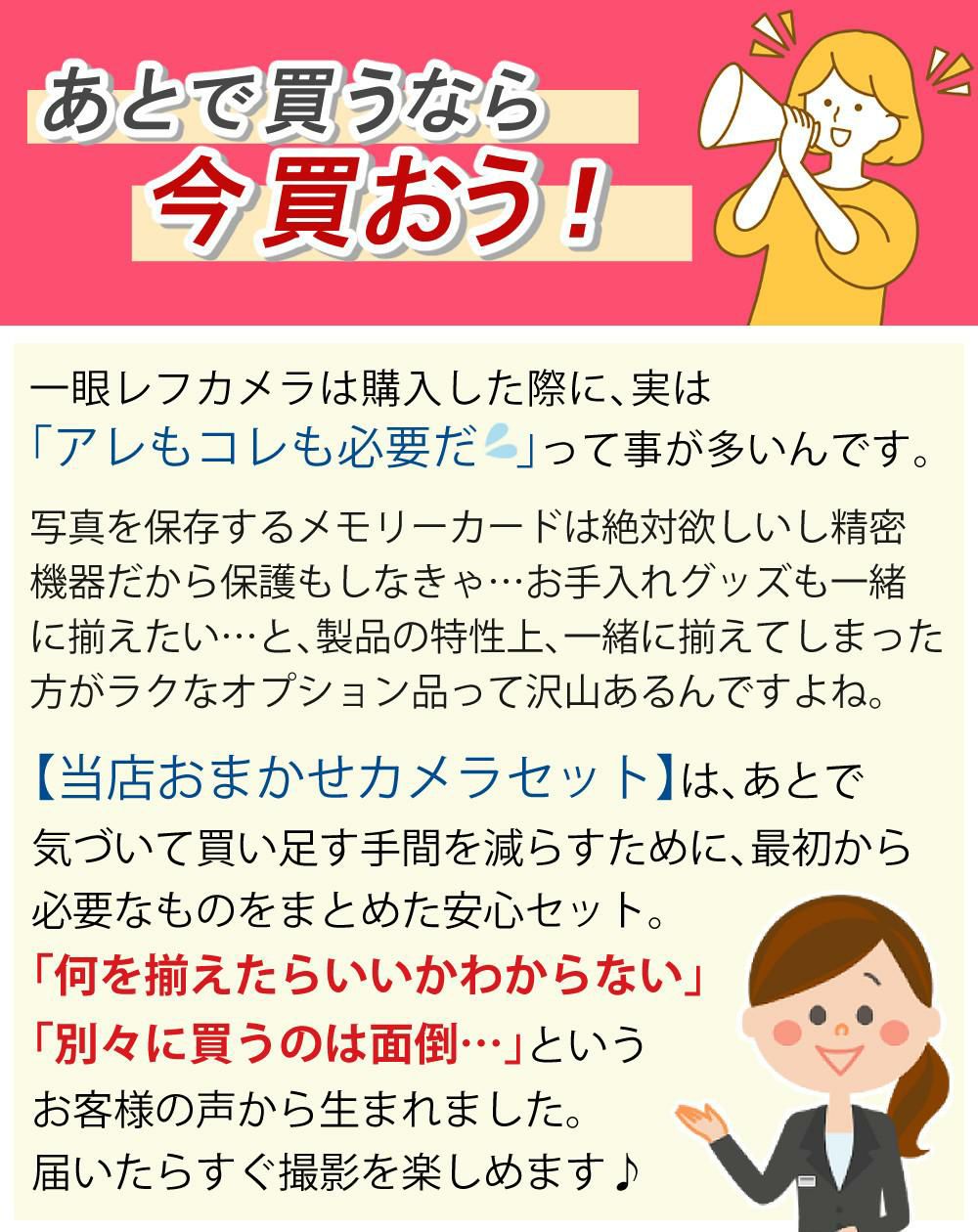 パナソニック デジタルカメラ ルミックス LUMIX FZ85D ブラック DC-FZ85D-K 三脚・SD・クロス等6点セット  ラッピング不可