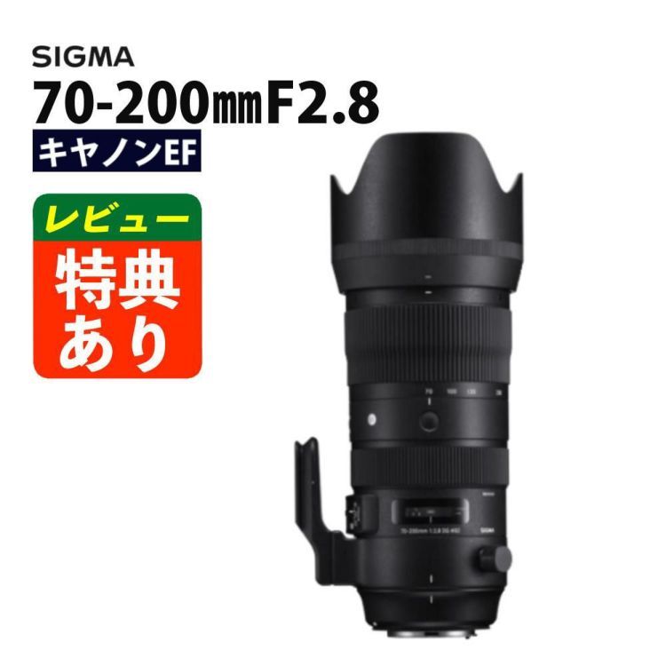 レビューでレンズキャッププレゼント シグマ 70-200mm F2.8 DG OS HSM  S  キヤノンマウント用