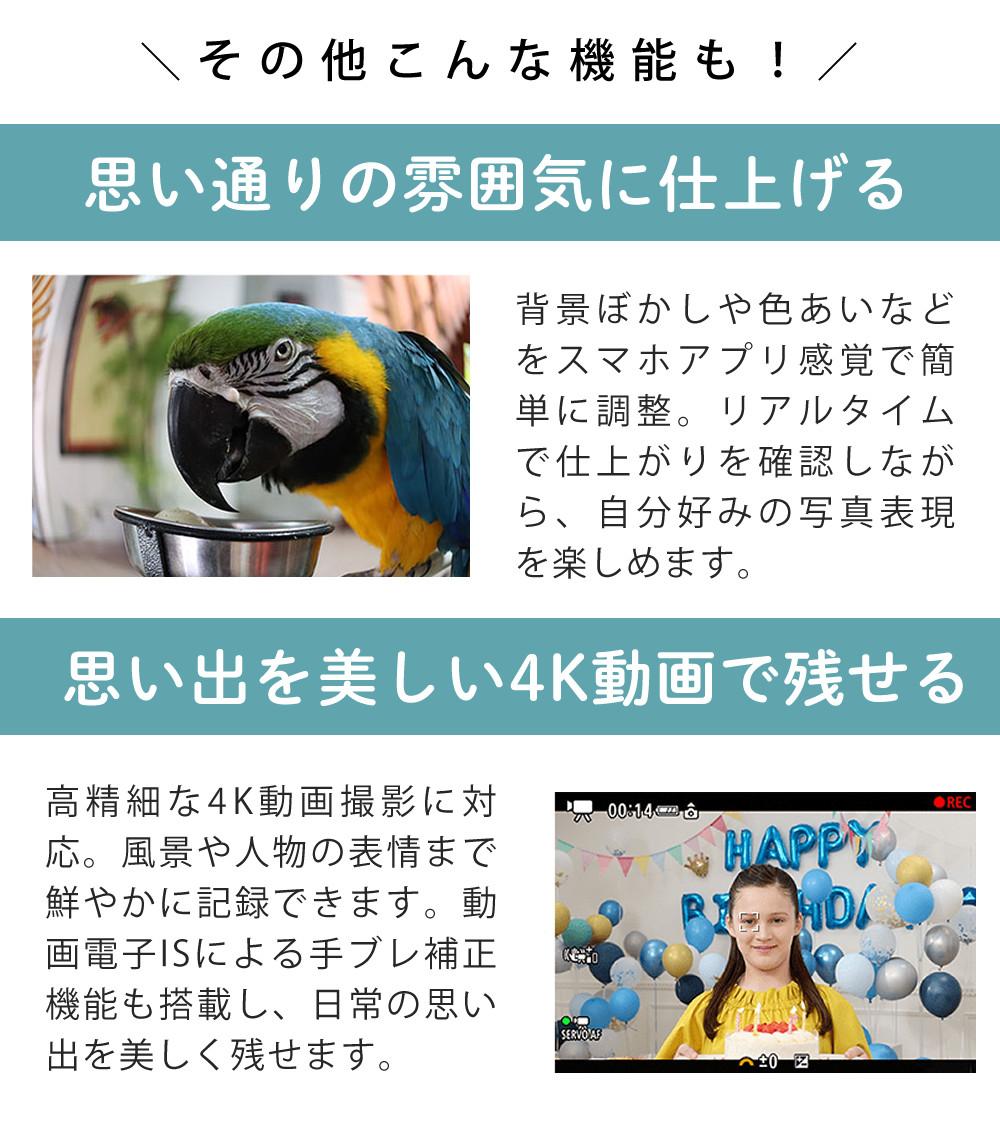 合計4点セット  キヤノン ミラーレス一眼カメラ EOS R100 レンズキット RF-S18-45 IS STM  6052C011