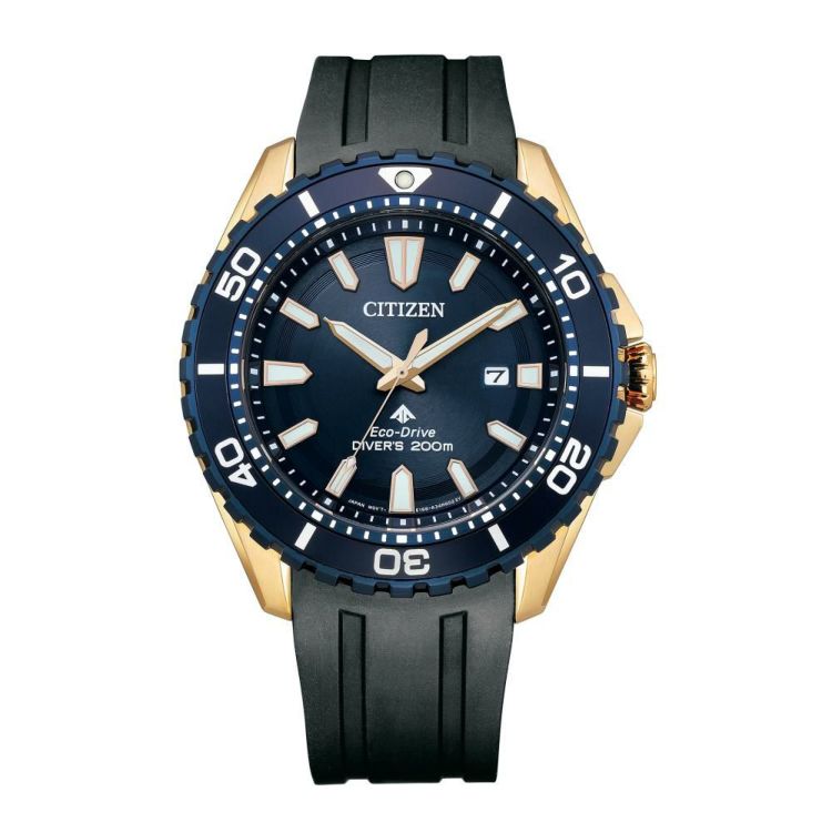 シチズン CITIZEN 腕時計 BN0196-01L プロマスター PROMASTER MARINE エコ・ドライブ ダイバー200m E168  国内正規品