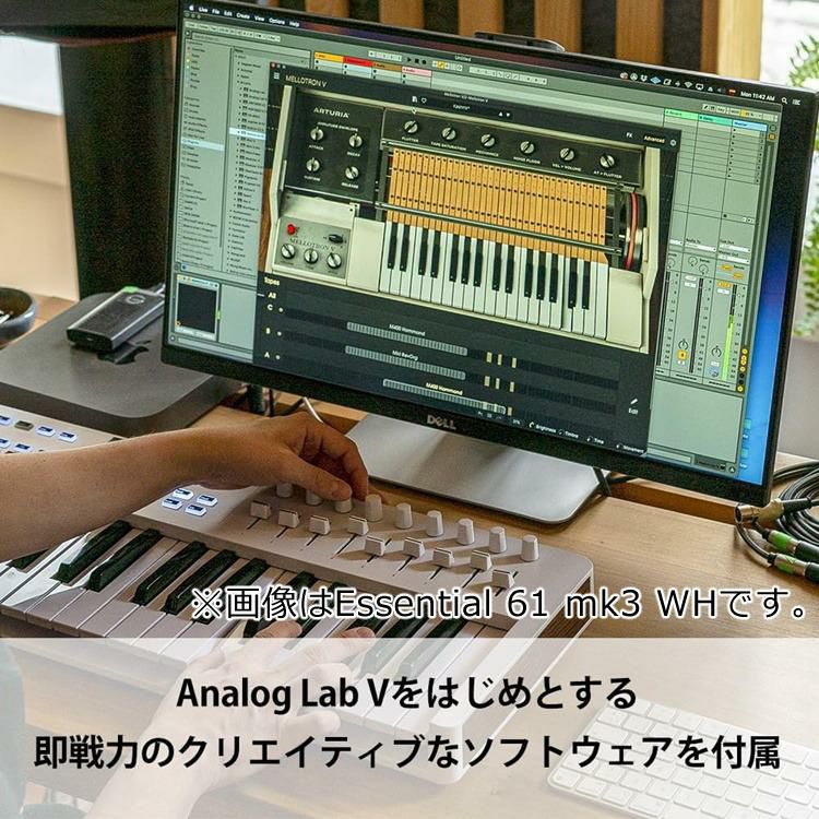 アートリア ARTURIA KEYLAB Essential MK3 ESN 49 MK3 APWH 選べる特典セット  ラッピング不可