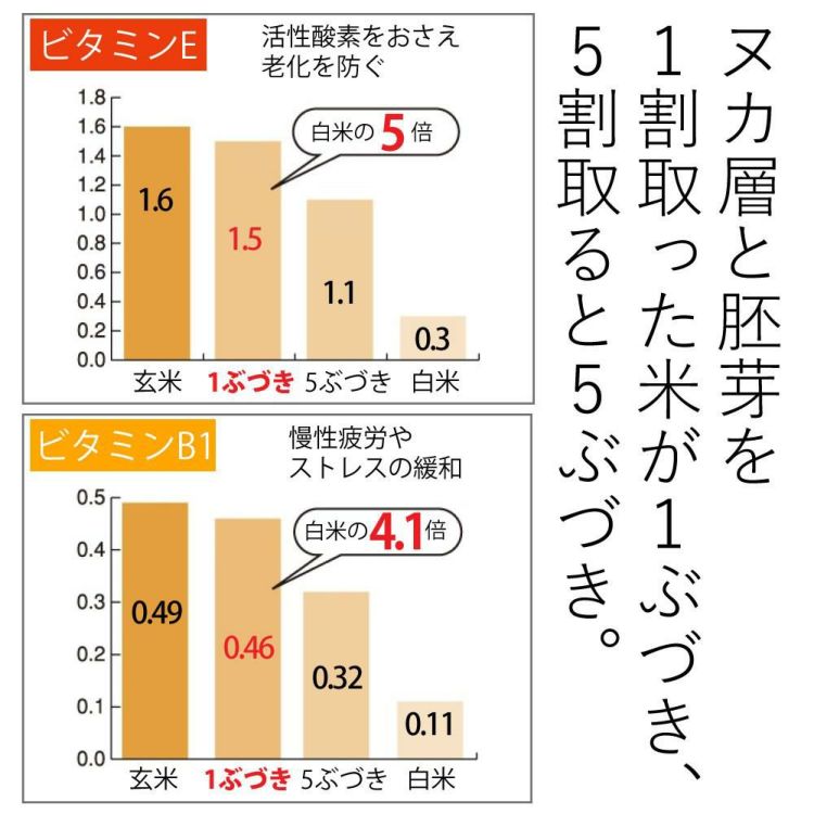 タイワ精機 家庭用精米機 MAIKO グレー マイコ PL-03  ラッピング不可