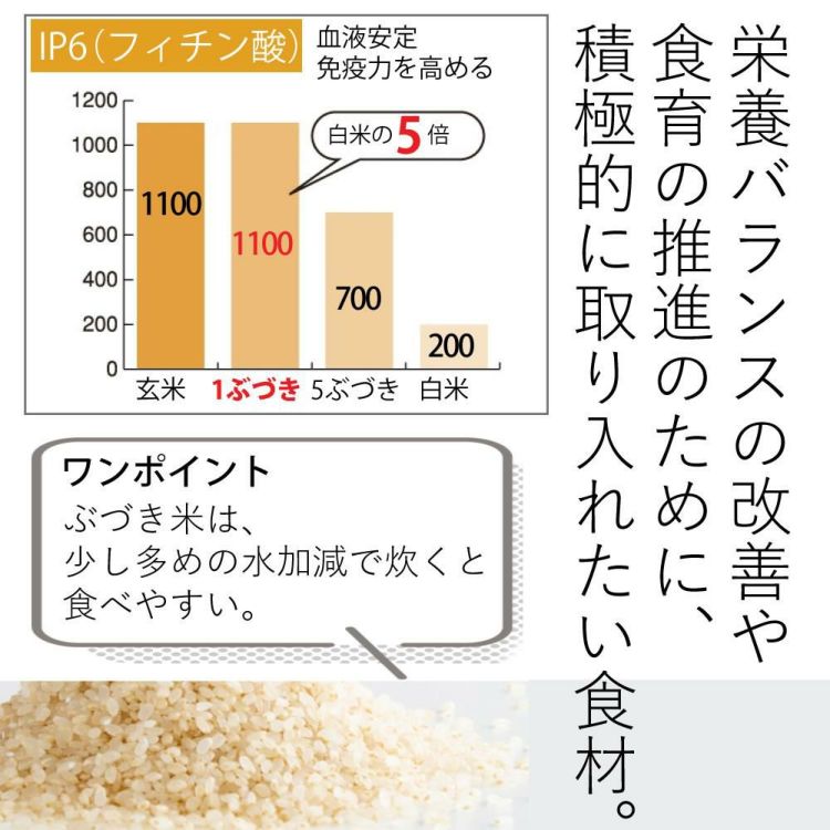 タイワ精機 家庭用精米機 MAIKO グレー マイコ PL-03  ラッピング不可