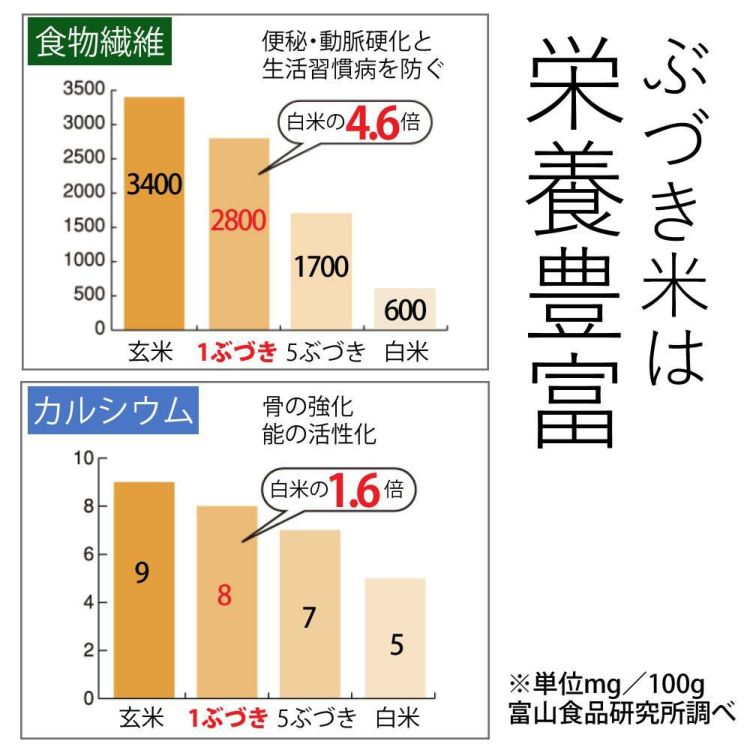 タイワ精機 家庭用精米機 MAIKO マイコ グレー PL-03 ライスストッカー 北海道産玄米3種セット付き 3点セット