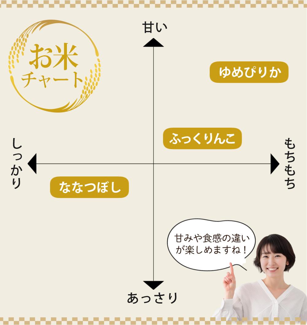 タイワ精機 精米機 家庭用精米機 まん咲 10kg PX-10A ライスストッカー 北海道産玄米3種セット付き 3点セット ラッピング不可