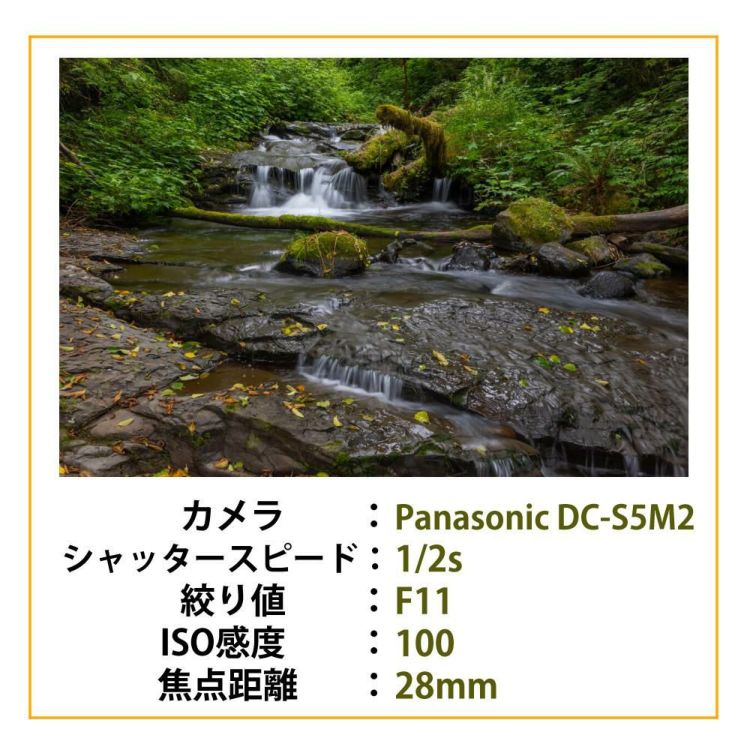 レビューでプレゼント シグマ 28-105mm F2.8 DG DN A  ソニーEマウント用