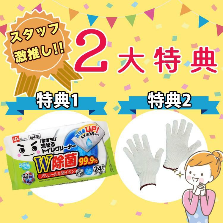 リクシル INAX 温水便座 CW-RG20/BN8 オフホワイト トイレクリーナー 軍手付き セット ラッピング不可