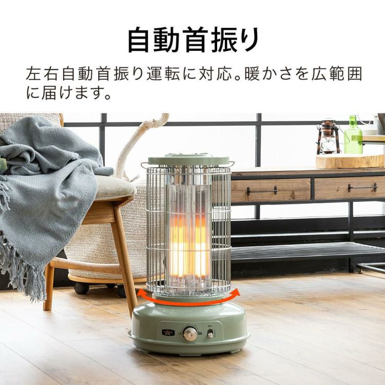 アラジン グラファイトフレームヒーター AEH-GF80 電気 ストーブ 日本