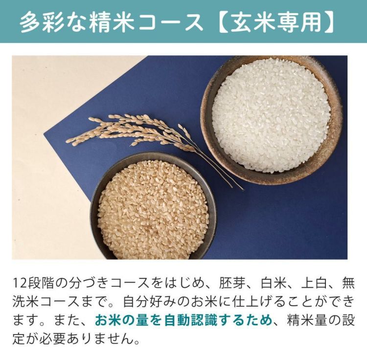 エムケー精工 小型精米機 RICELON ワインレッド 玄米300gセット