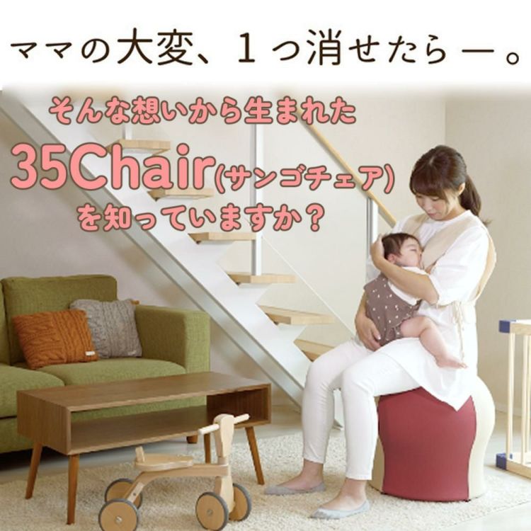 JTC 35chair サンゴチェア  B0D871GP23 スカイブルー × ベージュ