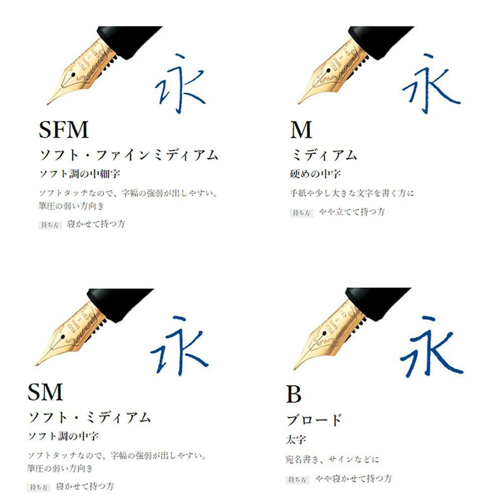 パイロット 万年筆 カスタム ヘリテイジ912  FKVH2MR 4点セット
